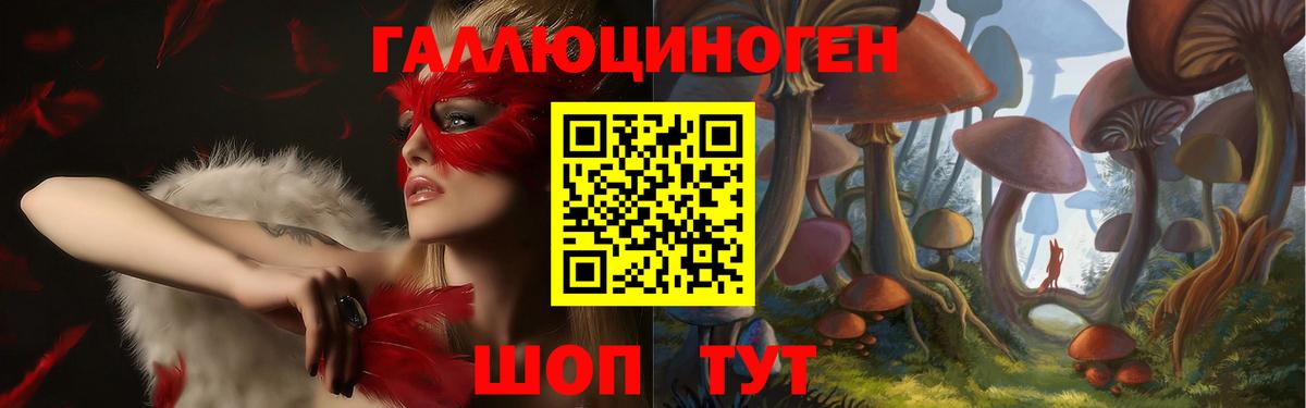 Можга  Галлюциногенные грибы ЛСД  Вход с VPN 