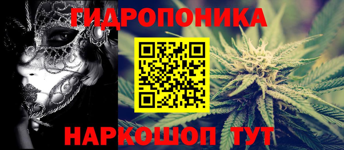 Марихуана Bruce Banner  Конопля LSD WEED  Можга  Вход с VPN  Каннабис сатива  МАРИХУАНА Amnesia 